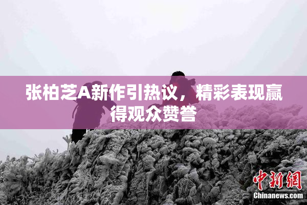 张柏芝A新作引热议，精彩表现赢得观众赞誉
