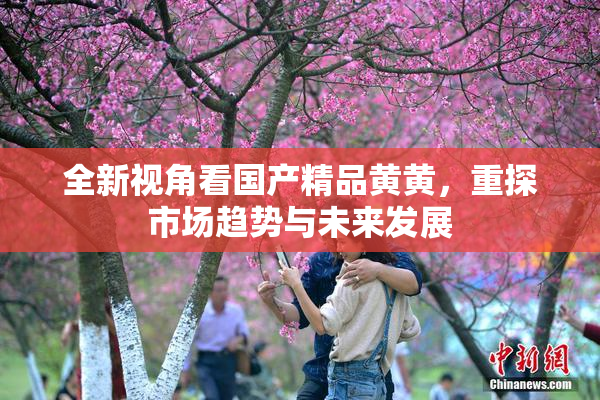全新视角看国产精品黄黄，重探市场趋势与未来发展