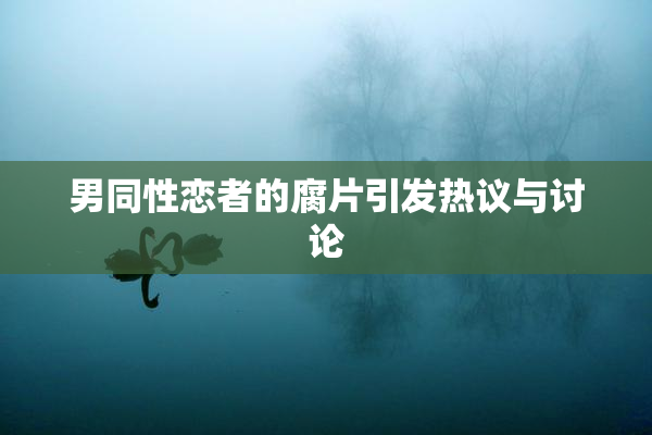 男同性恋者的腐片引发热议与讨论