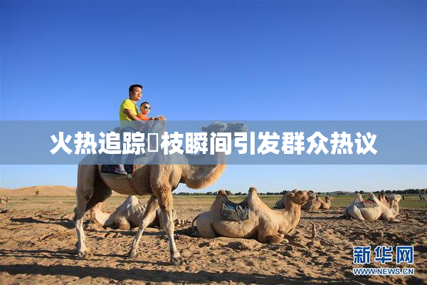 火热追踪狛枝瞬间引发群众热议