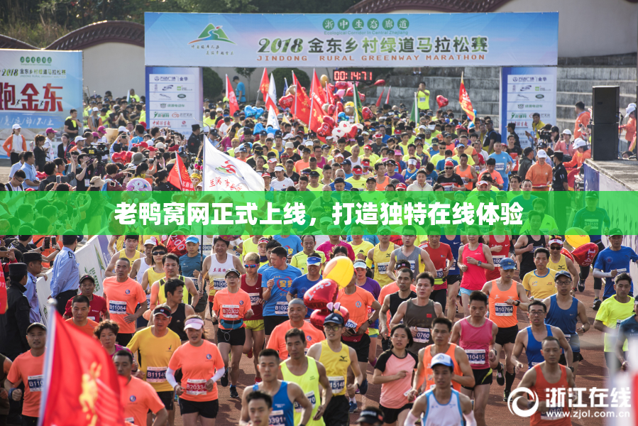 老鸭窝网正式上线，打造独特在线体验
