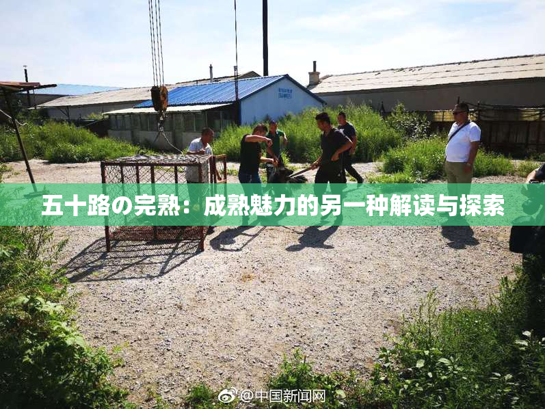 五十路の完熟：成熟魅力的另一种解读与探索