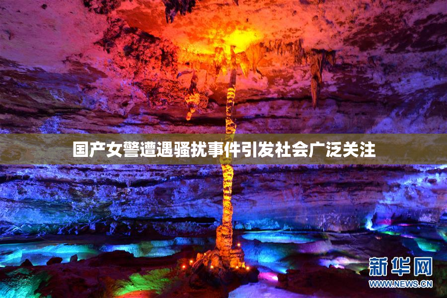 国产女警遭遇骚扰事件引发社会广泛关注