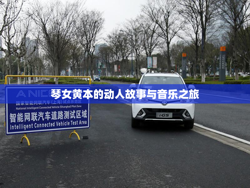 琴女黄本的动人故事与音乐之旅