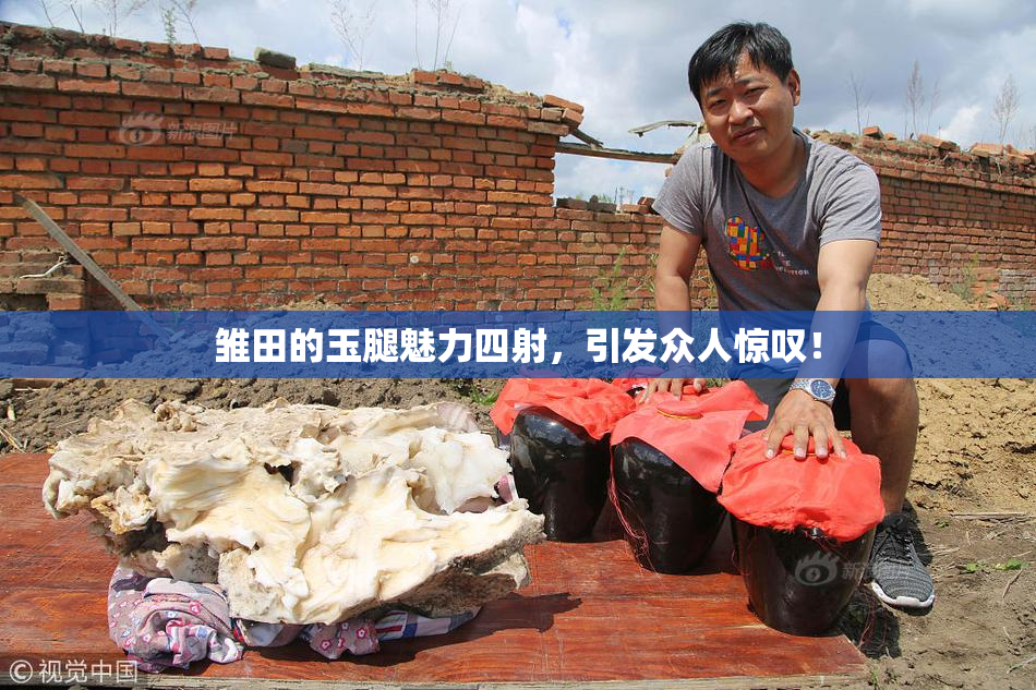雏田的玉腿魅力四射，引发众人惊叹！