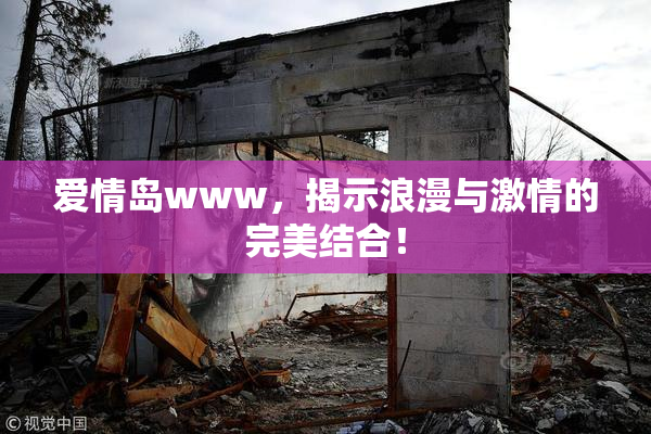 爱情岛www，揭示浪漫与激情的完美结合！