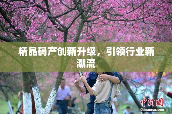 精品码产创新升级，引领行业新潮流