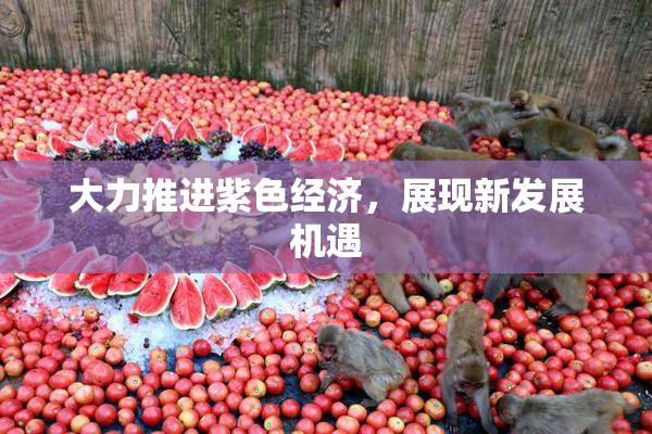 大力推进紫色经济，展现新发展机遇
