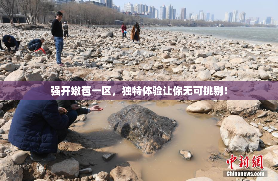 强开嫩苞一区，独特体验让你无可挑剔！