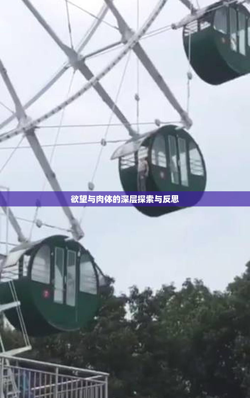 欲望与肉体的深层探索与反思