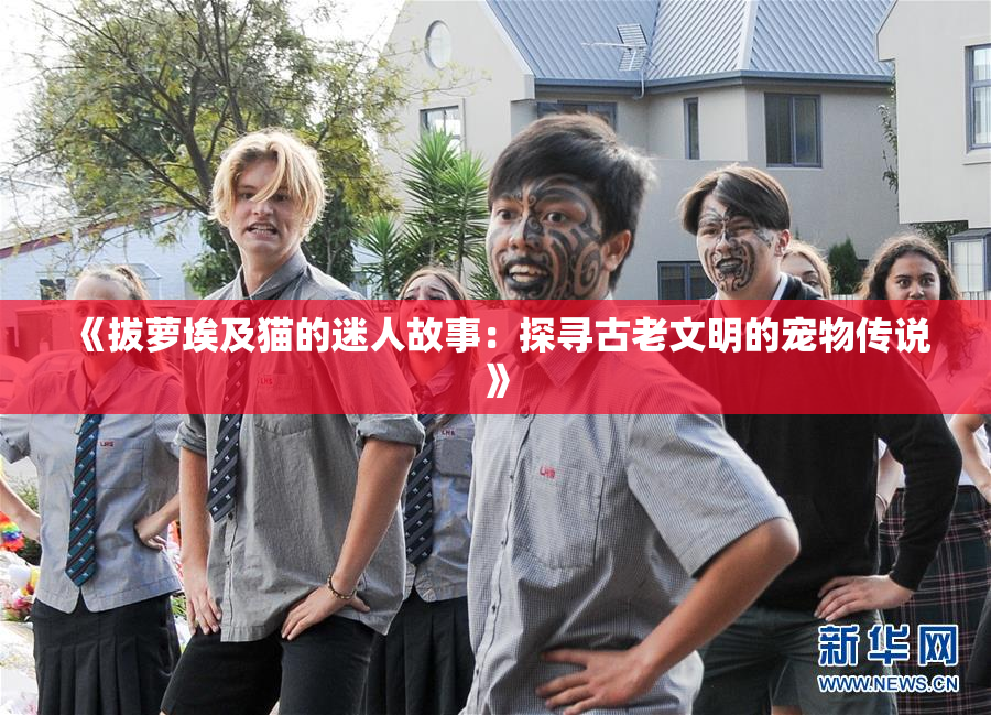 《拔萝埃及猫的迷人故事：探寻古老文明的宠物传说》