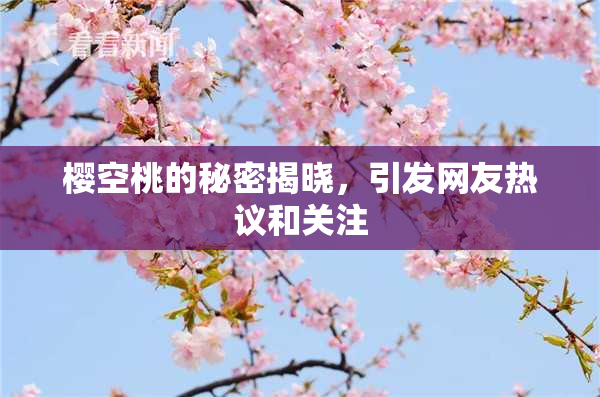 樱空桃的秘密揭晓，引发网友热议和关注