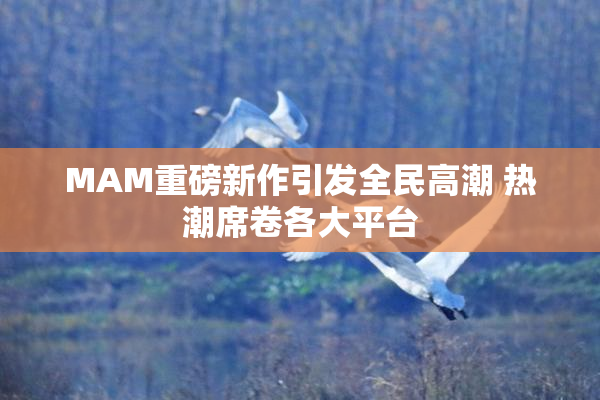 MAM重磅新作引发全民高潮 热潮席卷各大平台