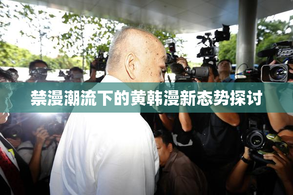 禁漫潮流下的黄韩漫新态势探讨