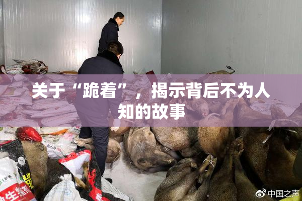 关于“跪着”，揭示背后不为人知的故事