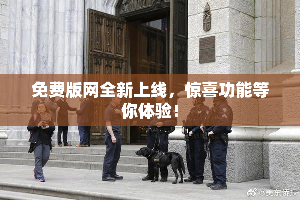 免费版网全新上线，惊喜功能等你体验！