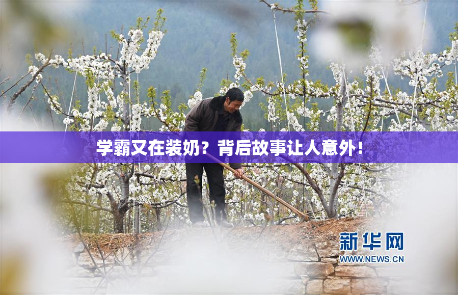 学霸又在装奶？背后故事让人意外！
