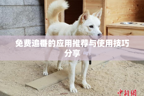 免费追番的应用推荐与使用技巧分享