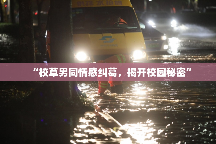 “校草男同情感纠葛，揭开校园秘密”