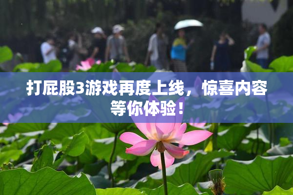 打屁股3游戏再度上线，惊喜内容等你体验！