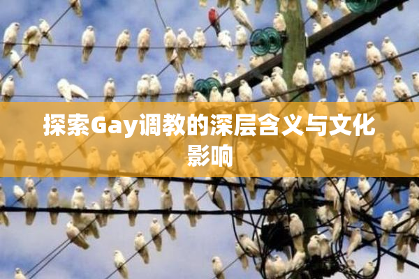 探索Gay调教的深层含义与文化影响