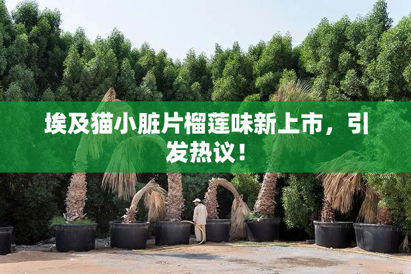 埃及猫小脏片榴莲味新上市，引发热议！