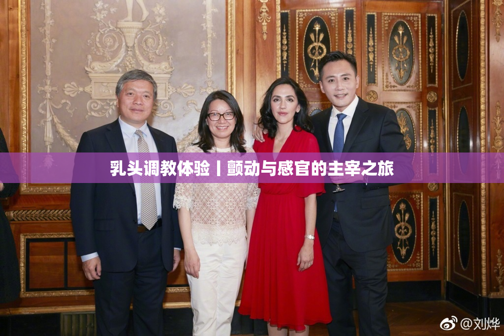 乳头调教体验丨颤动与感官的主宰之旅