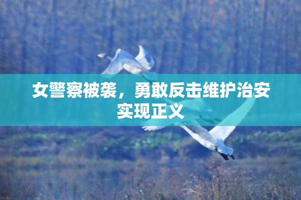 女警察被袭，勇敢反击维护治安实现正义