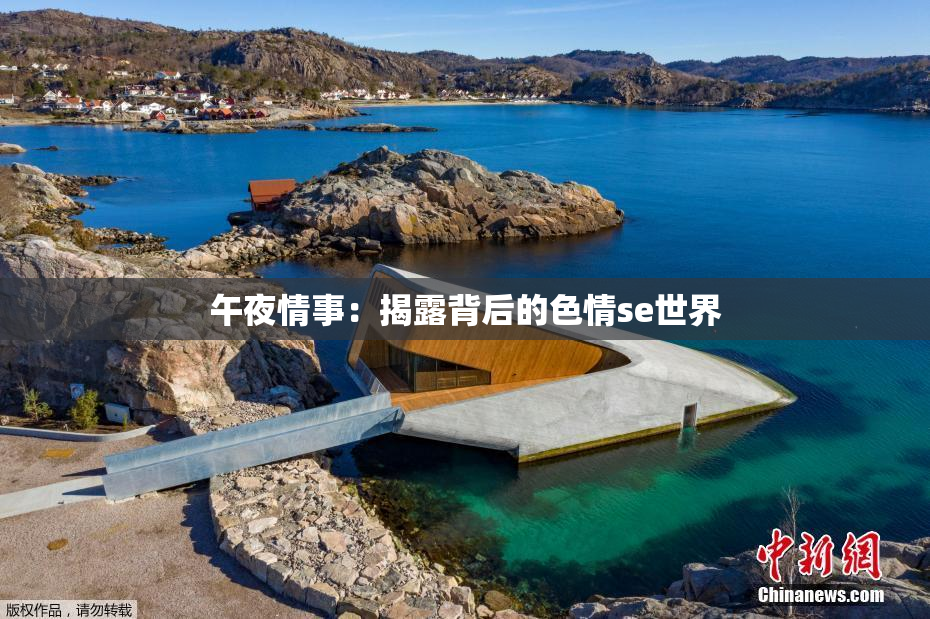 午夜情事：揭露背后的色情se世界