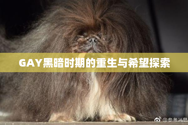 GAY黑暗时期的重生与希望探索