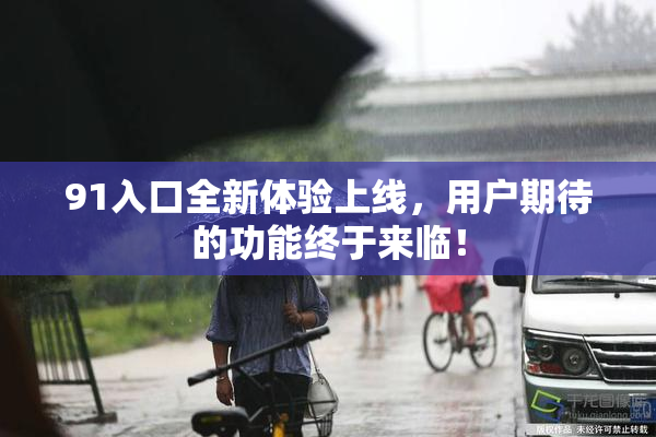 91入口全新体验上线，用户期待的功能终于来临！