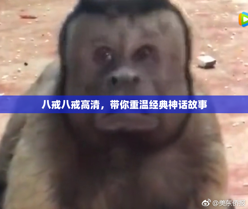 八戒八戒高清，带你重温经典神话故事