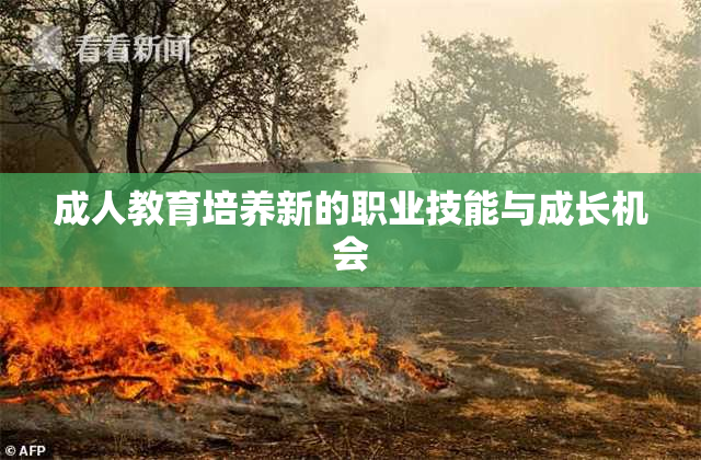 成人教育培养新的职业技能与成长机会