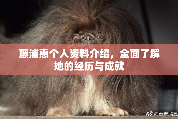 藤浦惠个人资料介绍，全面了解她的经历与成就