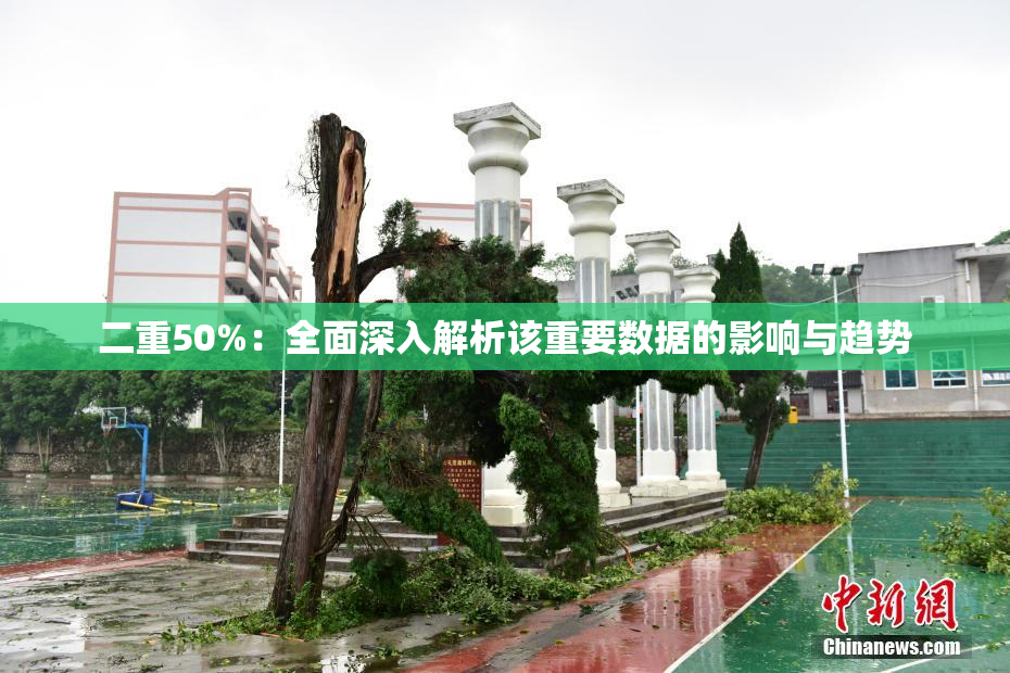 二重50%：全面深入解析该重要数据的影响与趋势