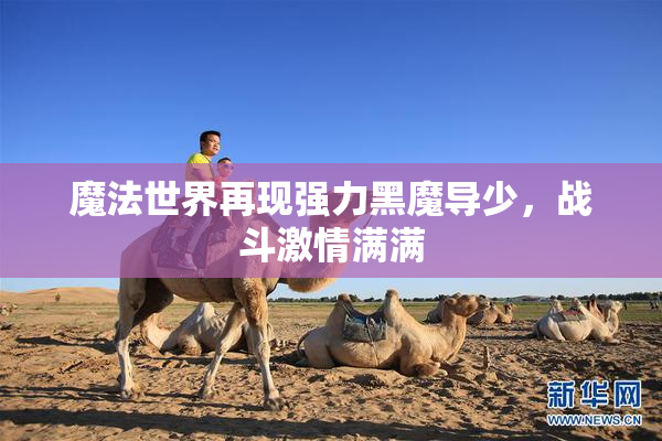 魔法世界再现强力黑魔导少，战斗激情满满