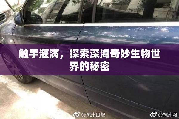 触手灌满，探索深海奇妙生物世界的秘密