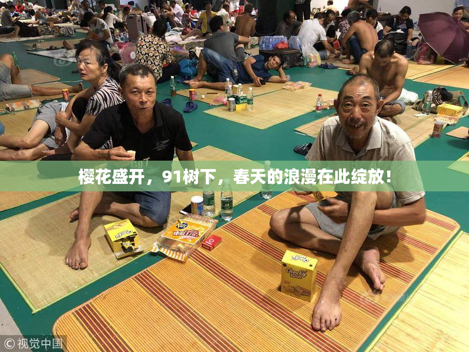 樱花盛开，91树下，春天的浪漫在此绽放！