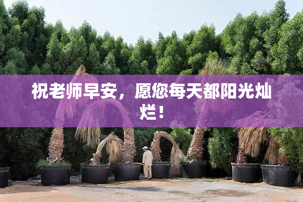 祝老师早安，愿您每天都阳光灿烂！