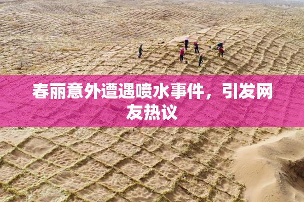 春丽意外遭遇喷水事件，引发网友热议