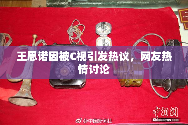 王思诺因被C视引发热议，网友热情讨论