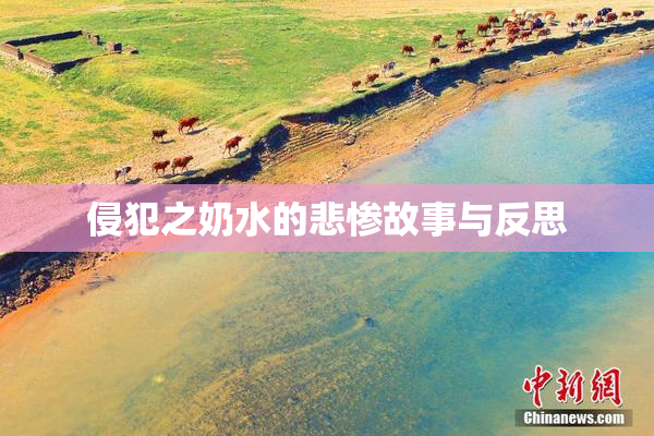 侵犯之奶水的悲惨故事与反思