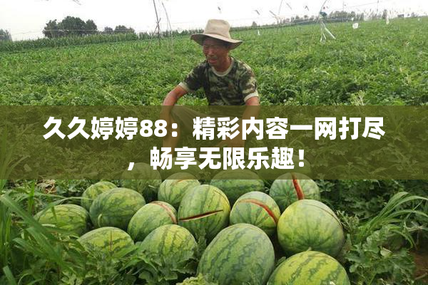 久久婷婷88：精彩内容一网打尽，畅享无限乐趣！