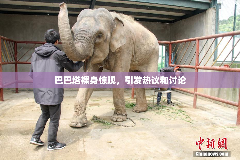 巴巴塔裸身惊现，引发热议和讨论