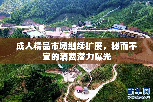 成人精品市场继续扩展，秘而不宣的消费潜力曝光