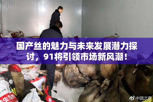国产丝的魅力与未来发展潜力探讨，91将引领市场新风潮！