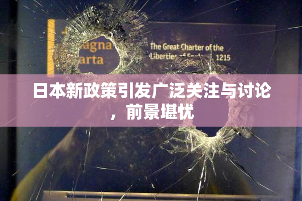 日本新政策引发广泛关注与讨论，前景堪忧