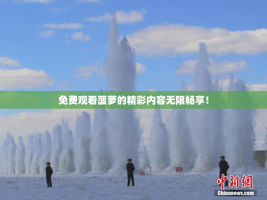 免费观看菠萝的精彩内容无限畅享！