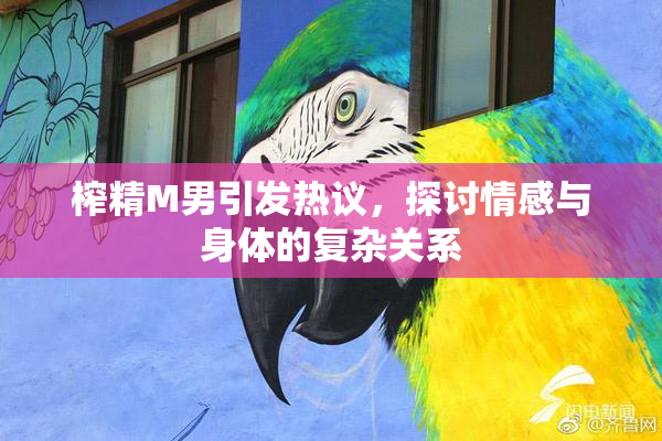 榨精M男引发热议，探讨情感与身体的复杂关系