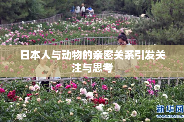 日本人与动物的亲密关系引发关注与思考